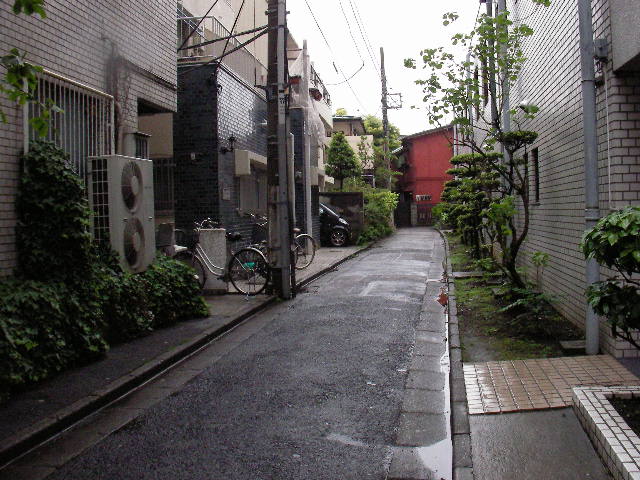 1：西から見た細道。奥は行き止まりに見えるが・・・